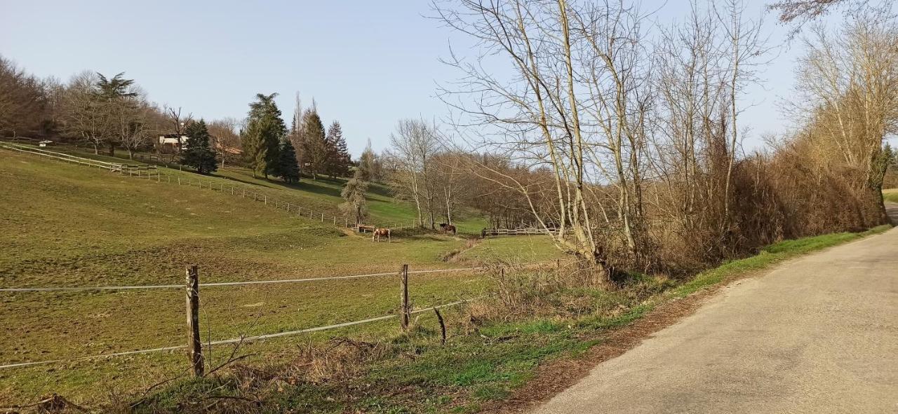Le Du Nature Et Calme A La Campagne * Villeneuve-de-Marc